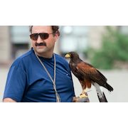 $99 for a One-Hour Falconry Lesson ($300 Value)