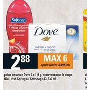 Dial, Irish Spring Or Softsoap - $2.88