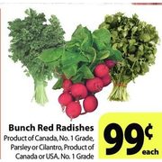 Bunch Red Radishes, Parsley Cilantro  - $0.99