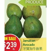 Jamaican Avocado - $2.39/lb