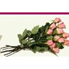 Longo's 12 Stem Roses Premium Long Stem Ecuadorian - $22.99 ($5.00 off)