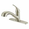 Project Source Dover Pull-Out Kitchen Faucet  - $59.50