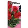 Deluxe Bouquet Of 10 Roses  - $29.99