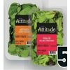 Attitude Salad Mix - $5.99
